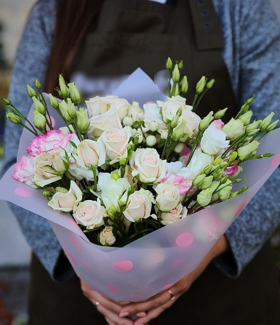 Голубка